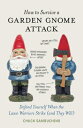 How to Survive a Garden Gnome Attack: Defend You