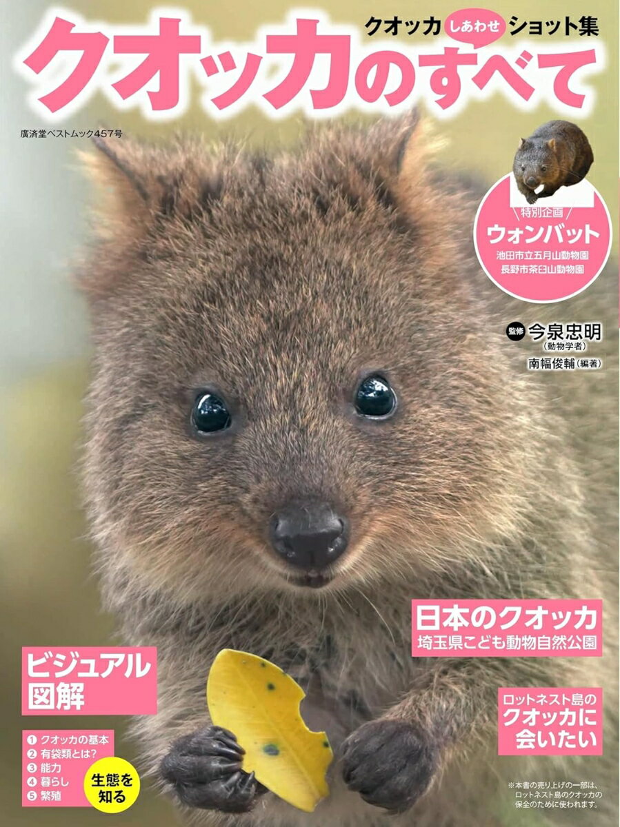 楽天市場】クオッカの通販
