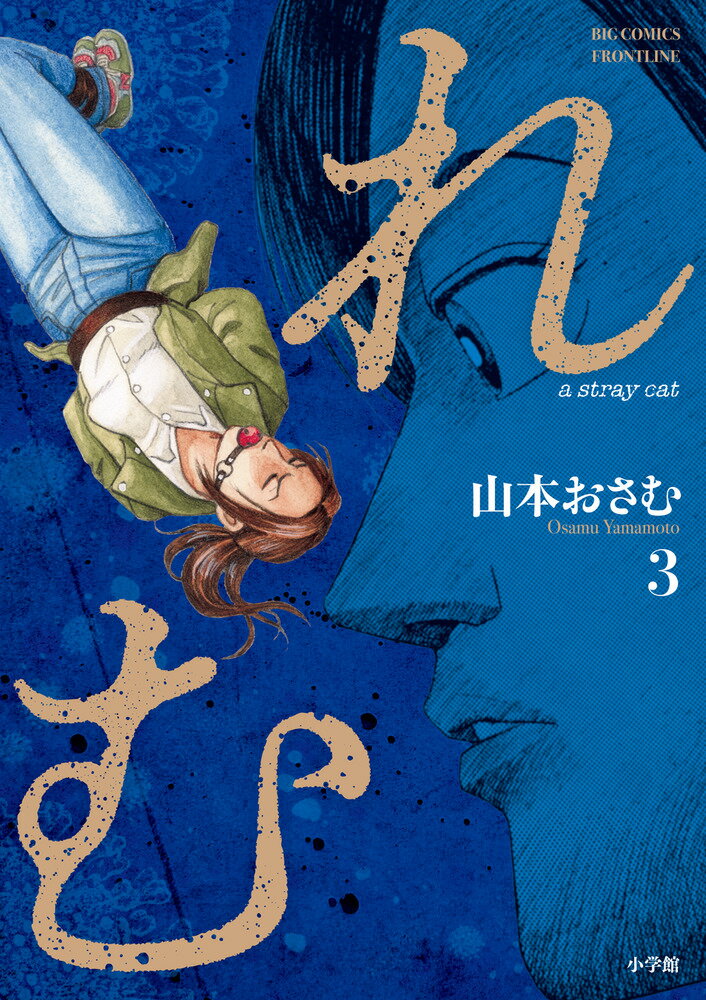 れむ a stray cat(3)