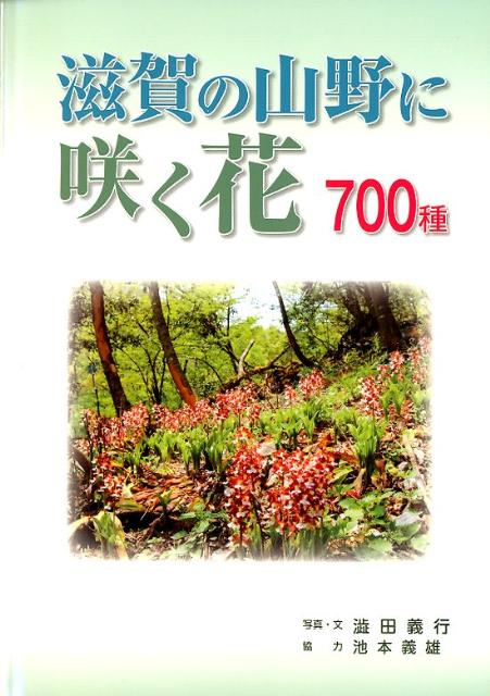 滋賀の山野に咲く花700種 [ 澁田義行 ]