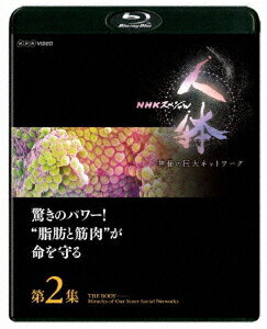 NHKスペシャル 人体 神秘の巨大ネットワーク 第2集 驚きのパワー!“脂肪と筋肉"が命を守る【Blu-ray】