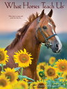 What Horses Teach Us 2021 Engagement Calendar WHAT HORSES TEACH US 2021 ENGA Willow Creek Press