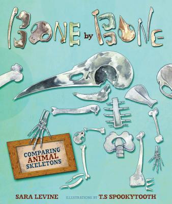 Bone by Bone: Comparing Animal Skeletons BONE BY BONE （Animal by Animal） [ Sara Levine ]