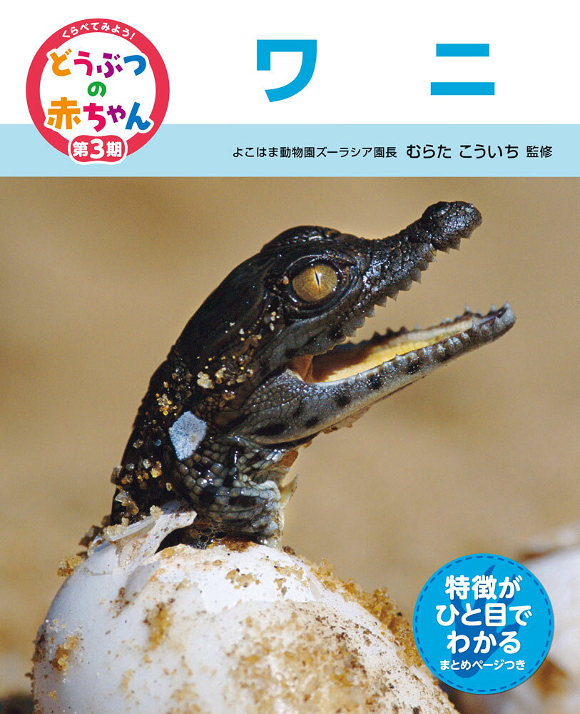 ワニ