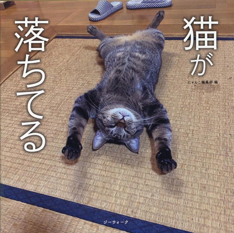 猫が落ちてる