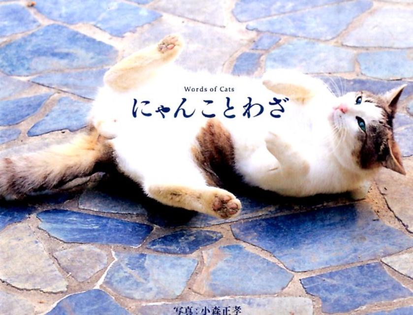 にゃんことわざ