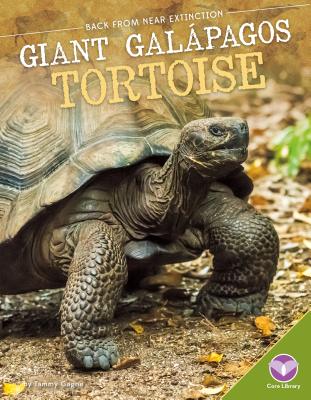 Giant Galpagos Tortoise