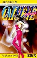 キャッツ・アイ（16）