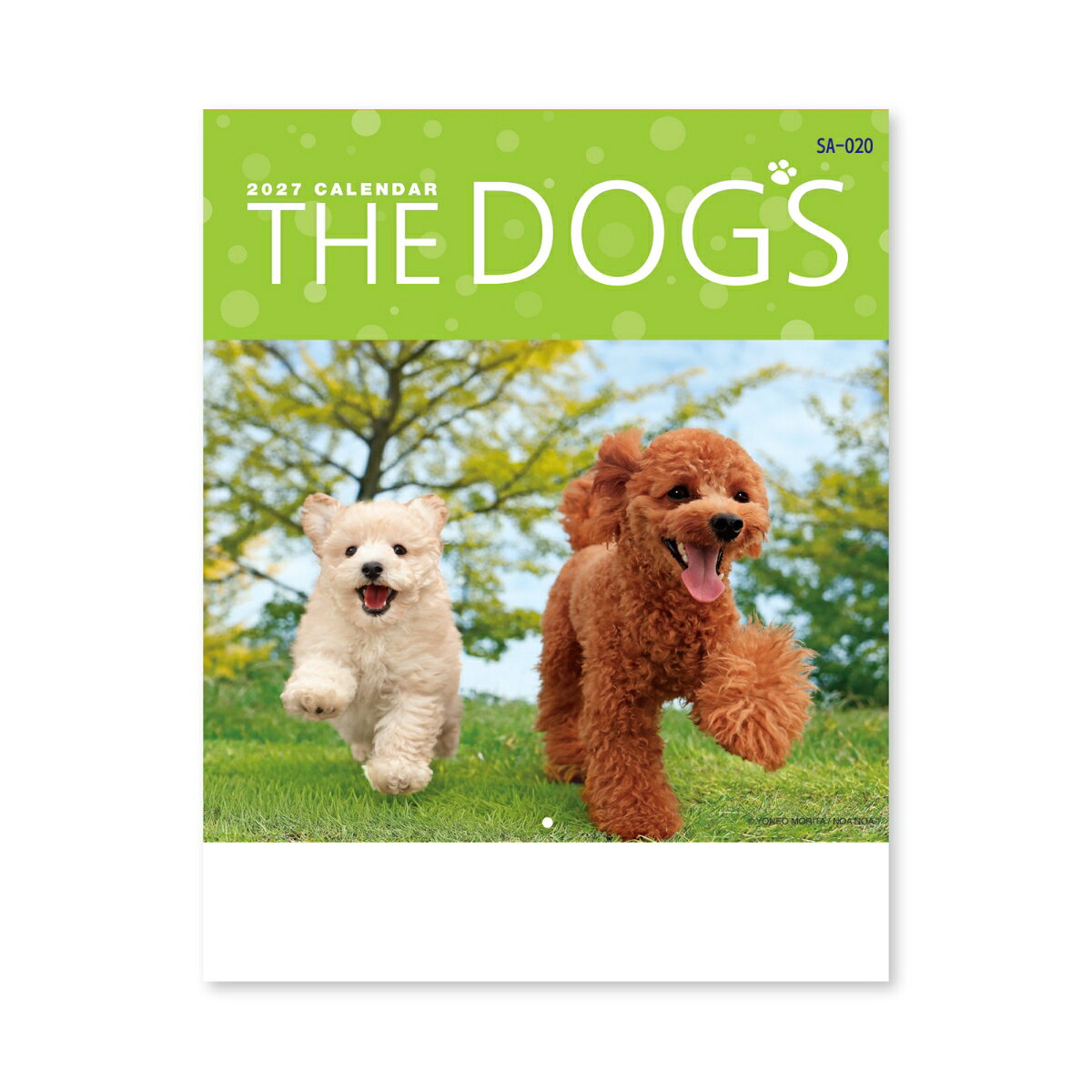 2027 THE DOG's