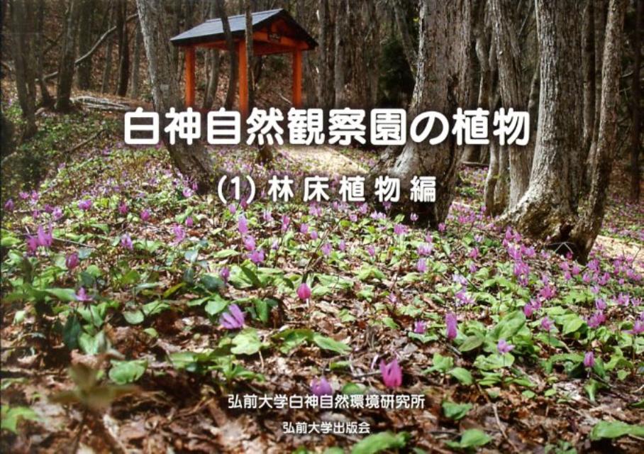 白神自然観察園の植物（1（林床植物編））