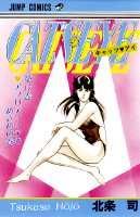 キャッツ・アイ（17）