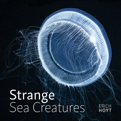 Strange Sea Creatures STRANGE SEA CREATURES [ Erich Hoyt ]