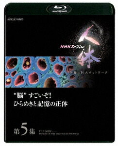 NHKスペシャル 人体 神秘の巨大ネットワーク 第5集 “脳"すごいぞ!ひらめきと記憶の正体【Blu-ray】