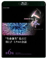 NHKスペシャル 人体 神秘の巨大ネットワーク 第6集 “生命誕生”見えた!母と子 ミクロの会話【Blu-ray】
