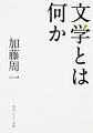 文学とは何かという問いに、若き著者が果敢に挑んだ日本文化論。該博な知識を駆使し、古代と現代を縦横に行き来する思考法によって、詩と散文のちがい、小説家の意識、日本と西欧における美の本質にまで思索を広げる。後年の大著『日本文学史序説』へ続く初期著作。