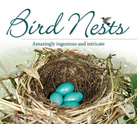 Bird Nests: Amazingly Ingenious and Intricate BIRD NESTS （Nature Appreciation） 