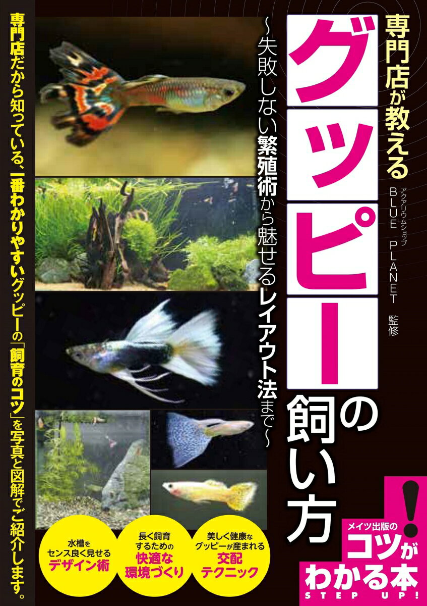 専門店が教える グッピーの飼い方 失敗しない繁殖術から魅せるレイアウト法まで