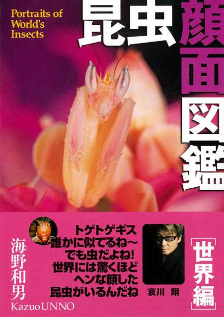 【バーゲン本】昆虫顔面図鑑　世界編