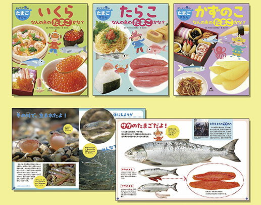 おいしい魚のたまごずかん（3冊セット）