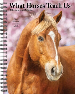 What Horses Teach Us 2026 Engagement Calendar WHAT HORSES TEACH US 2026 ENGA [ Glen Dromgoole ]
