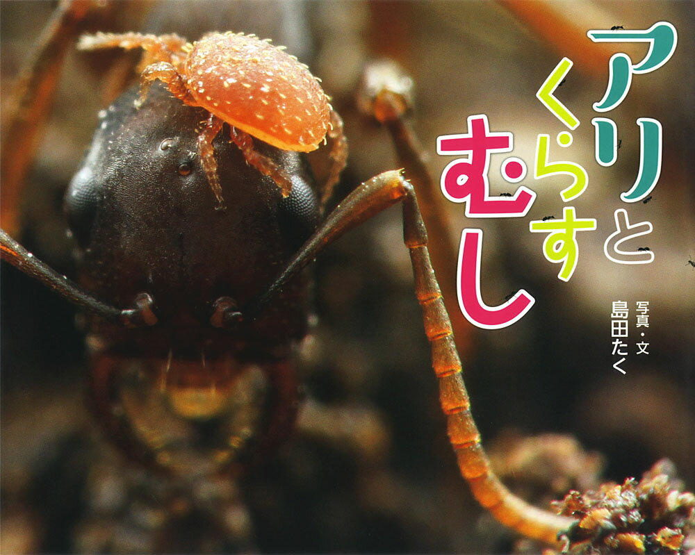 アリとくらすむし （ふしぎいっぱい写真絵本　26） [ 島田　たく ](3.0)