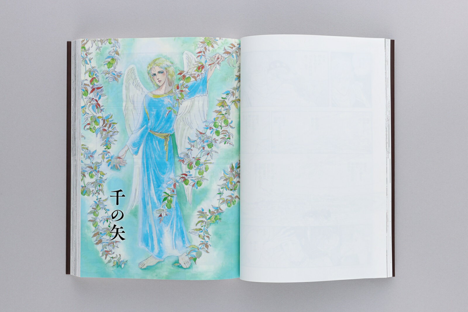 『メッシュ プレミアムエディション』（下巻） （書籍扱いコミックス単行本） [ 萩...