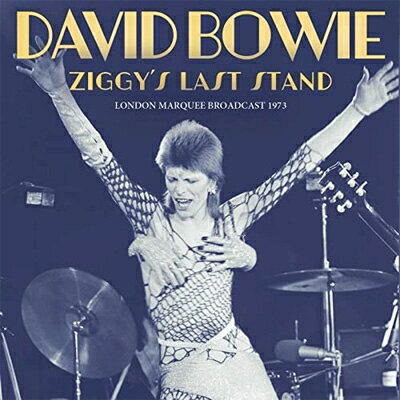 【輸入盤】Ziggy's Last Stand