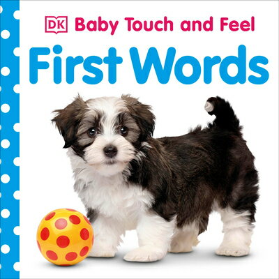 First Words 1ST WORDS （Baby Touch and Feel） Dk