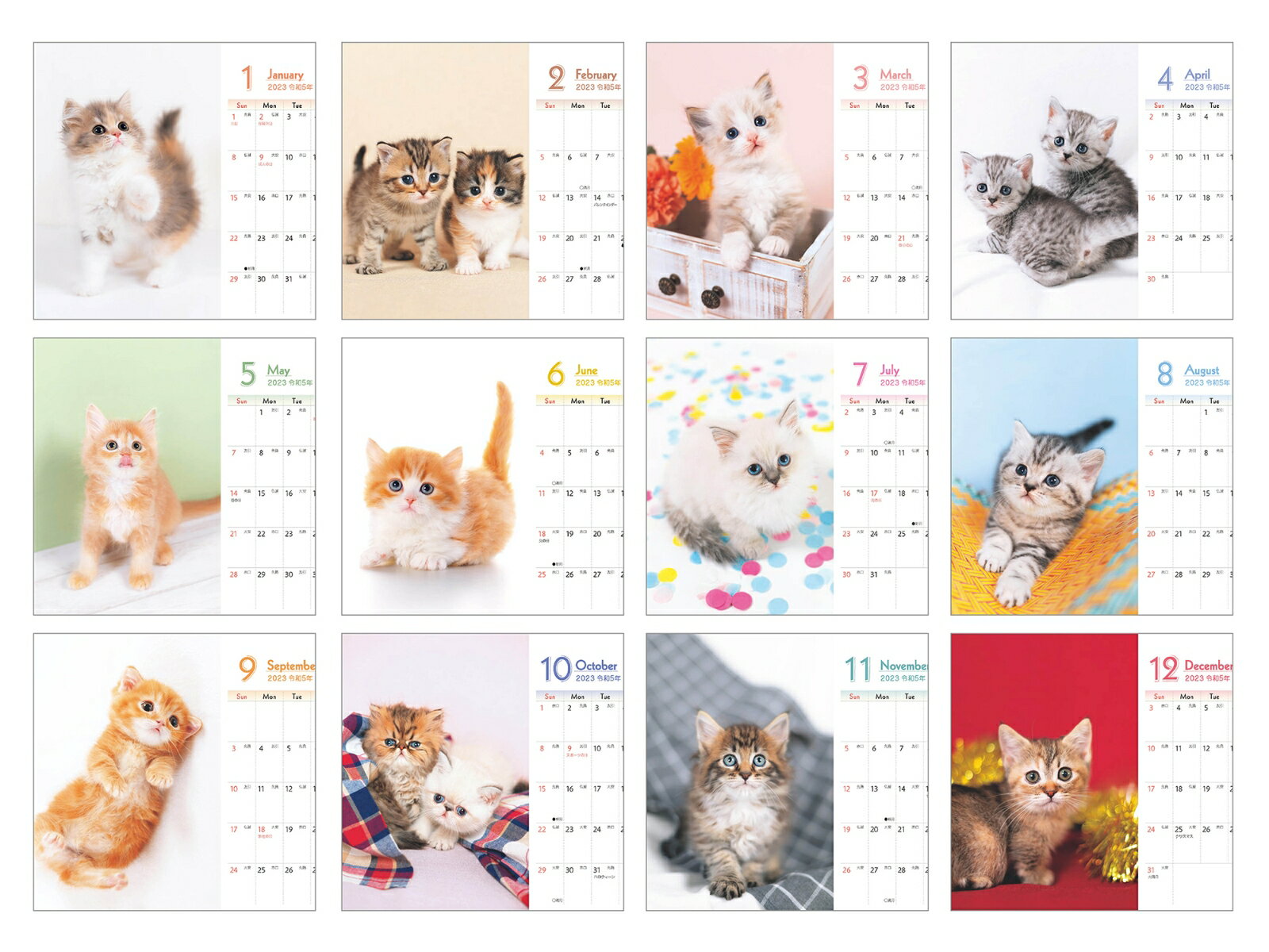 もふもふこねこ mini (インプレスカレンダ...の紹介画像2