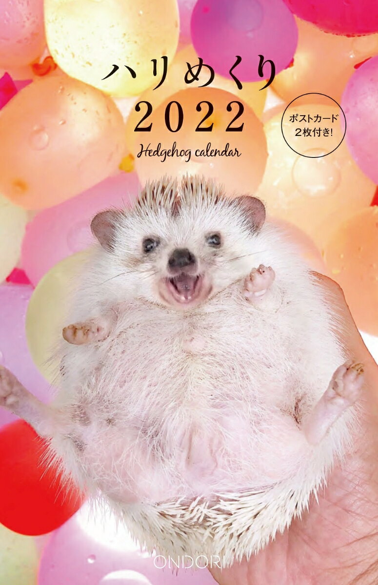 Hedgehog Calendar ハリめくり2022