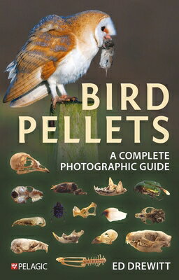Bird Pellets: A Complete Photographic Guide BIRD PELLETS [ Ed Drewitt ]
