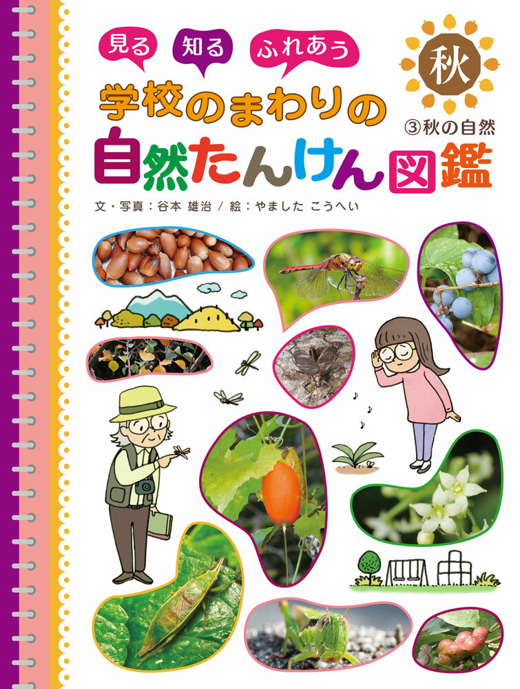 Pictorial Books, Knowledge - 秋の自然 （見る　知る　ふれあう　学校のまわりの自然たんけん図鑑　3） [ 谷本　雄治 ]