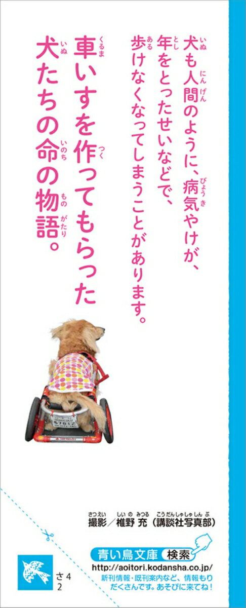 犬の車いす物語 (講談社青い鳥文庫) [ 沢田...の紹介画像3