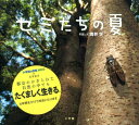 小学館 小学館の図鑑 NEO セミたちの夏 （小学館の図鑑NEOの科学絵本） [ 筒井 学 ]