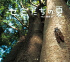 セミたちの夏 （小学館の図鑑NEOの科学絵本） [ 筒井 学 ]のサムネイル