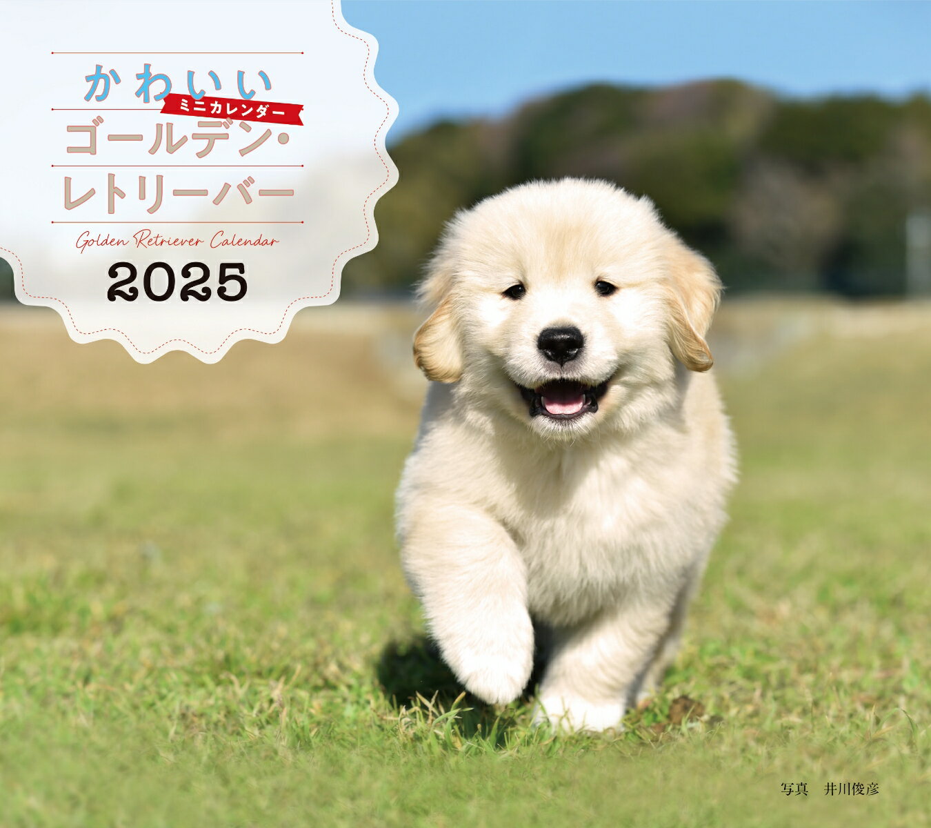 2025年カレンダー かわいいゴールデン・レトリーバー