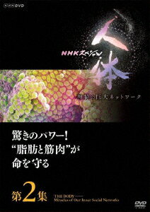 NHKスペシャル 人体 神秘の巨大ネットワーク 第2集 驚きのパワー!“脂肪と筋肉