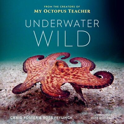 Underwater Wild: My Octopus Teacher's Extraordinary World UNDERWATER WILD [ Craig Foster ]