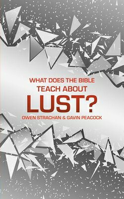 WHAT DOES THE BIBLE TEACH ABT Sexuality and Identity Gavin Peacock Owen Strachan CHRISTIAN FOCUS PUBN2020 Hardcover English ISBN：9781527104761 洋書 Social Science（社会科学） Religion