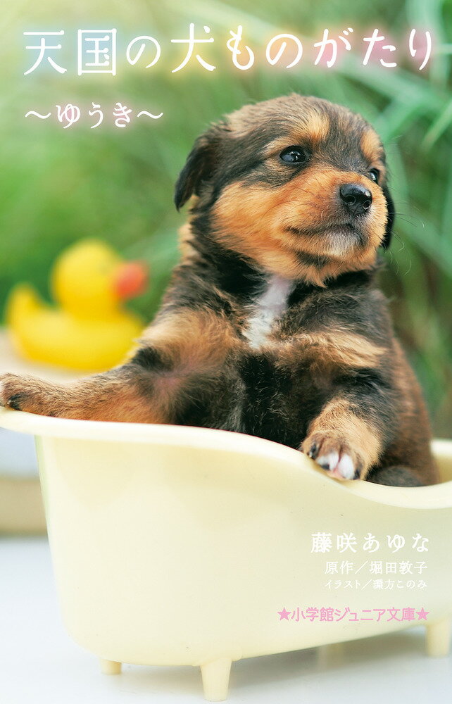 天国の犬ものがたり 〜ゆうき〜