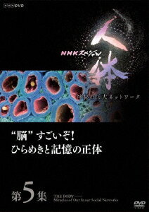 NHKスペシャル 人体 神秘の巨大ネットワーク 第5集 “脳"すごいぞ!ひらめきと記憶の正体