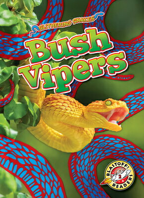 Bush Vipers BUSH VIPERS （Slithering Snakes） 