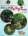 水生こん虫タイコウチの1年 消えていくこん虫・命のすばらしさ （子ども科学図書館） [ 湯浅政治 ]