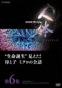 NHKスペシャル 人体 神秘の巨大ネットワーク 第6集 “生命誕生"見えた!母と子 ミクロの会話