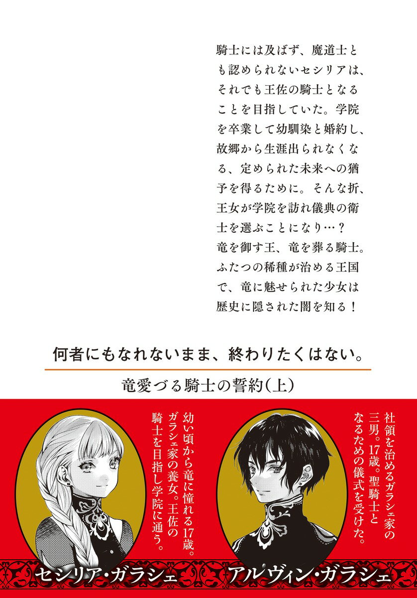 竜愛づる騎士の誓約(上) (集英社オレンジ文庫...の紹介画像3