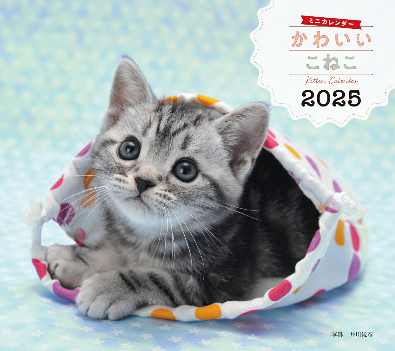 2025年カレンダー かわいいこねこ