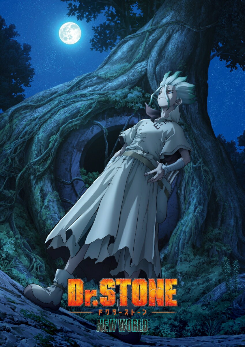 Dr.STONE ドクターストーン 3rd SEASON Blu-ray BOX 2 初回生産限定版 [ 稲垣理一郎 ]
