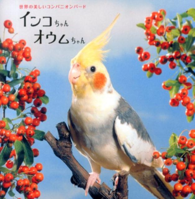 世界の美しいコンパニオンバード 池渕万季 パイインターナショナルインコチャン オウムチャン イケブチ,マキ 発行年月：2014年01月 ページ数：159p サイズ：単行本 ISBN：9784756244789 美しい羽色と人なつこい性格。コンパニオンバードとして人気のインコ・オウムの様々な表情、約150カット。 本 美容・暮らし・健康・料理 ペット その他