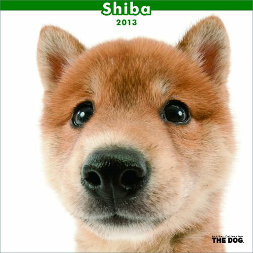 �� 2013 ��������