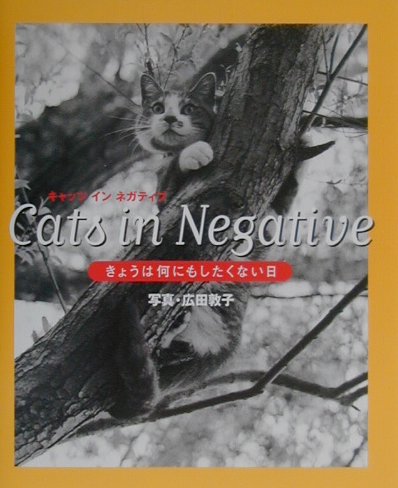 Cats　in　negative